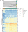 Figure 3. The transcriptome of clear cell ovarian cancer samples. A, Sankey plot showing the correspondence of the sample annotations RNA clusters and DNA clusters. B, Heatmap showing the normalized gene expression of the top 50 most differentially expressed genes between RNA cluster 1 and RNA cluster 2.