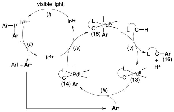 Scheme 2