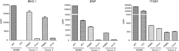 Figure 5