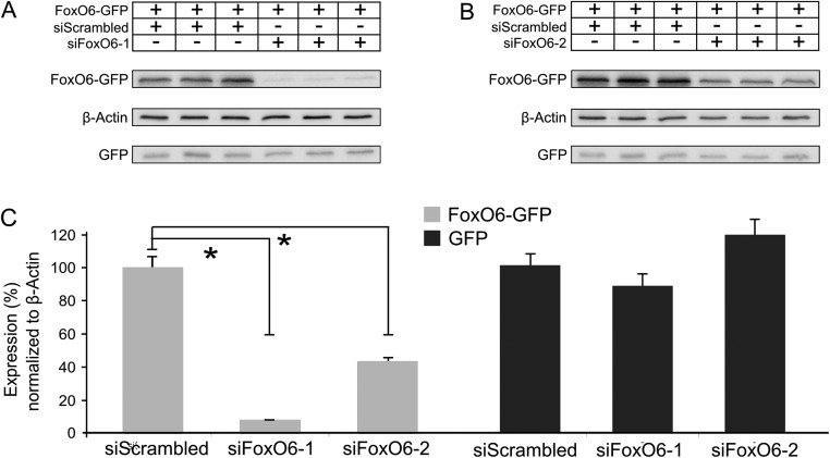 Fig. S2.