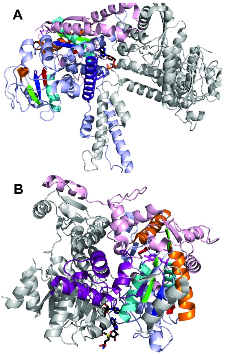 Fig 10