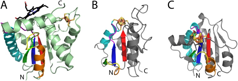 Fig 11