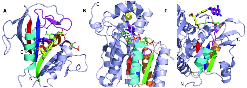 Fig 12