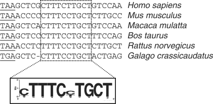 Figure 7.