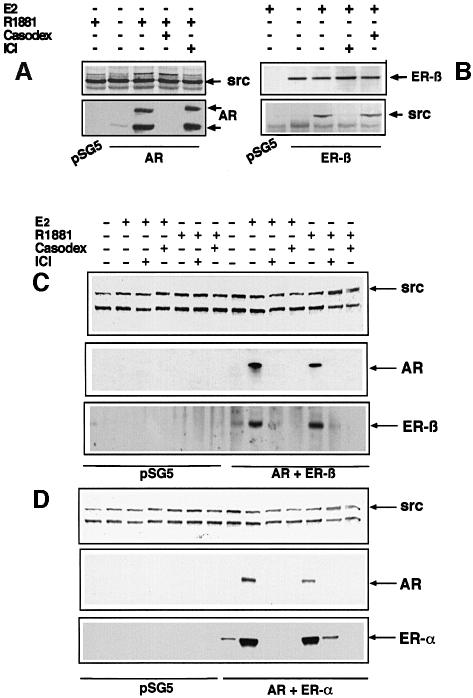 graphic file with name cdd542f6.jpg