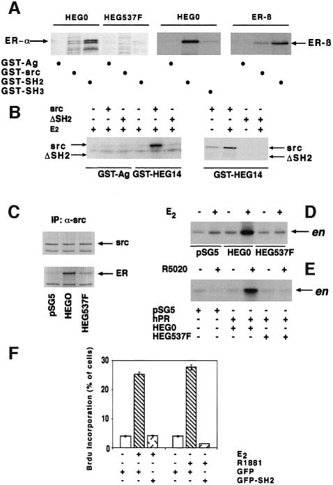 graphic file with name cdd542f7.jpg