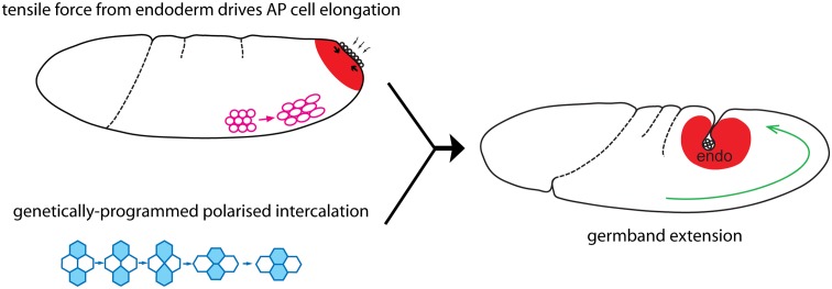 Fig 7