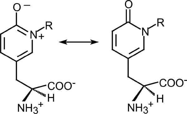 Scheme 3