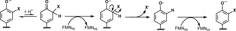 Scheme 2