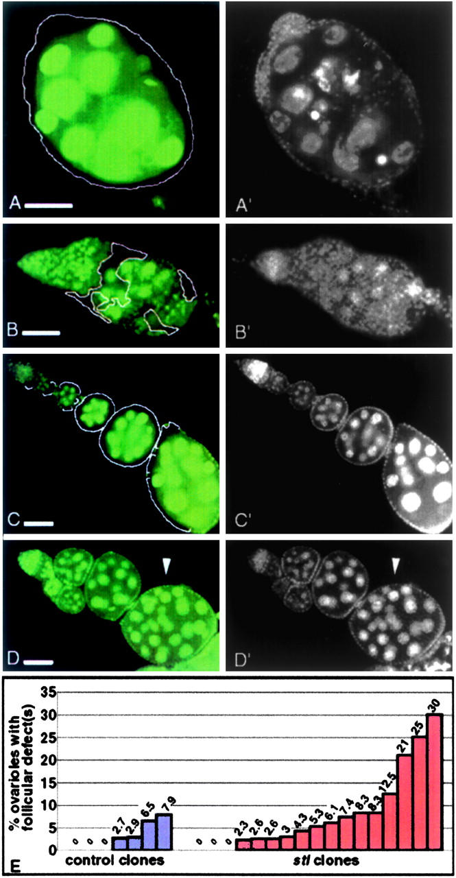 Figure 4.—