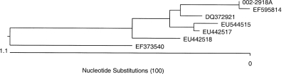 FIG. 1.