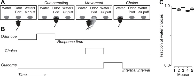 Figure 1—figure supplement 2.