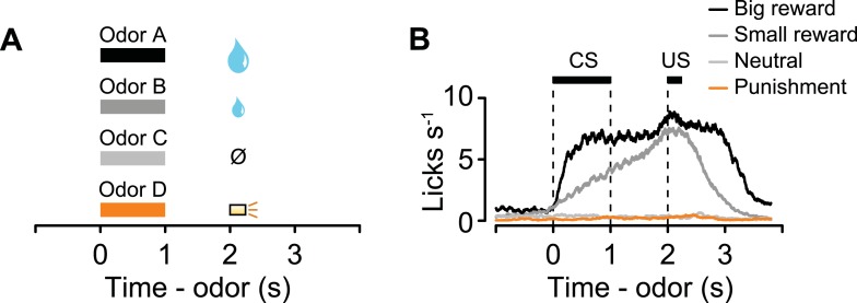 Figure 6—figure supplement 1.