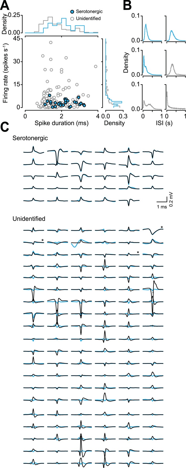 Figure 8—figure supplement 2.