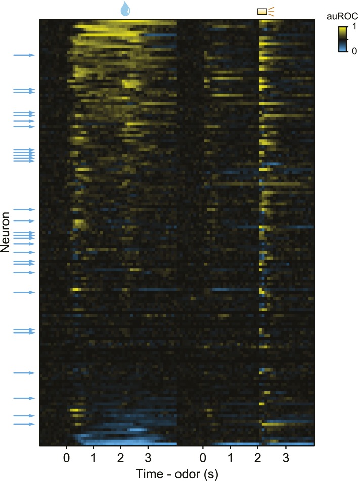 Figure 8—figure supplement 1.