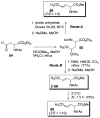 Scheme 14