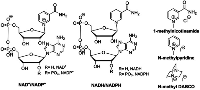 Fig. 8