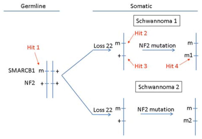 FIG. 1