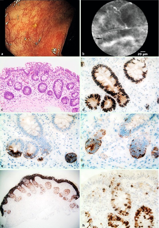 Fig. 4