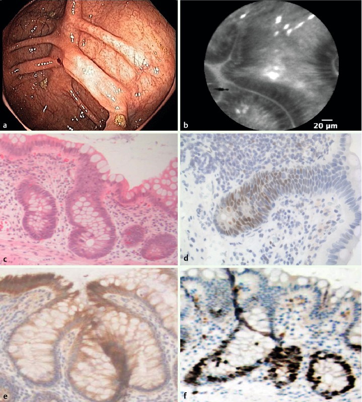 Fig. 5