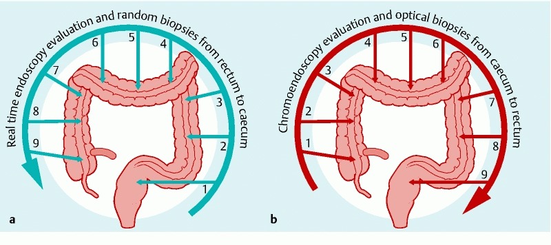 Fig. 1