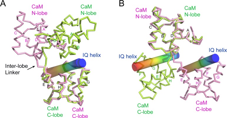 Figure 7—figure supplement 5.