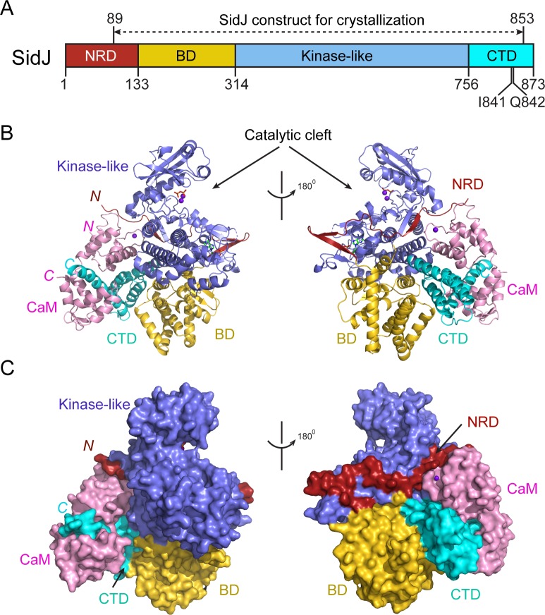 Figure 2.