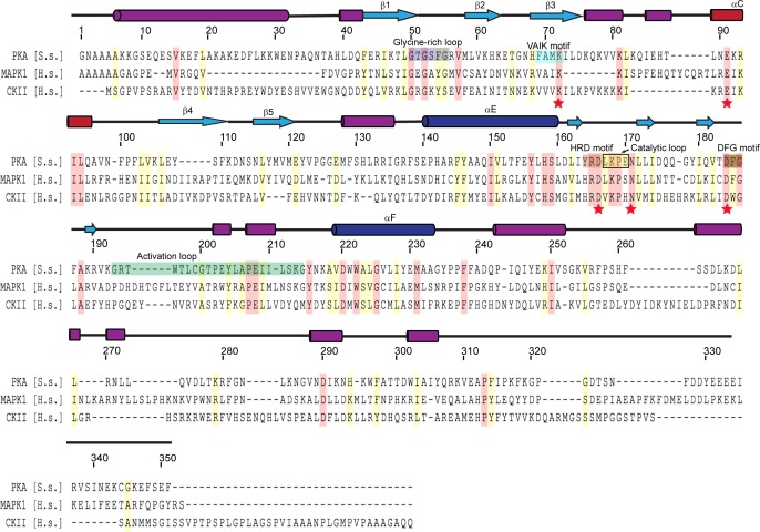 Figure 3—figure supplement 2.