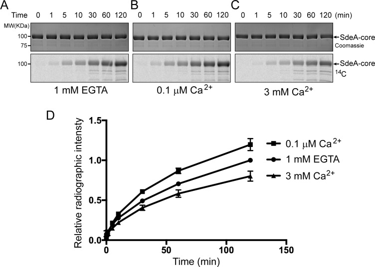 Figure 7—figure supplement 4.