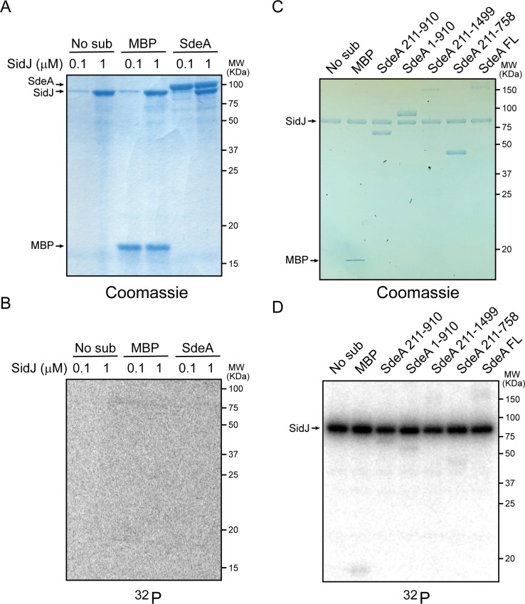 Figure 3—figure supplement 3.