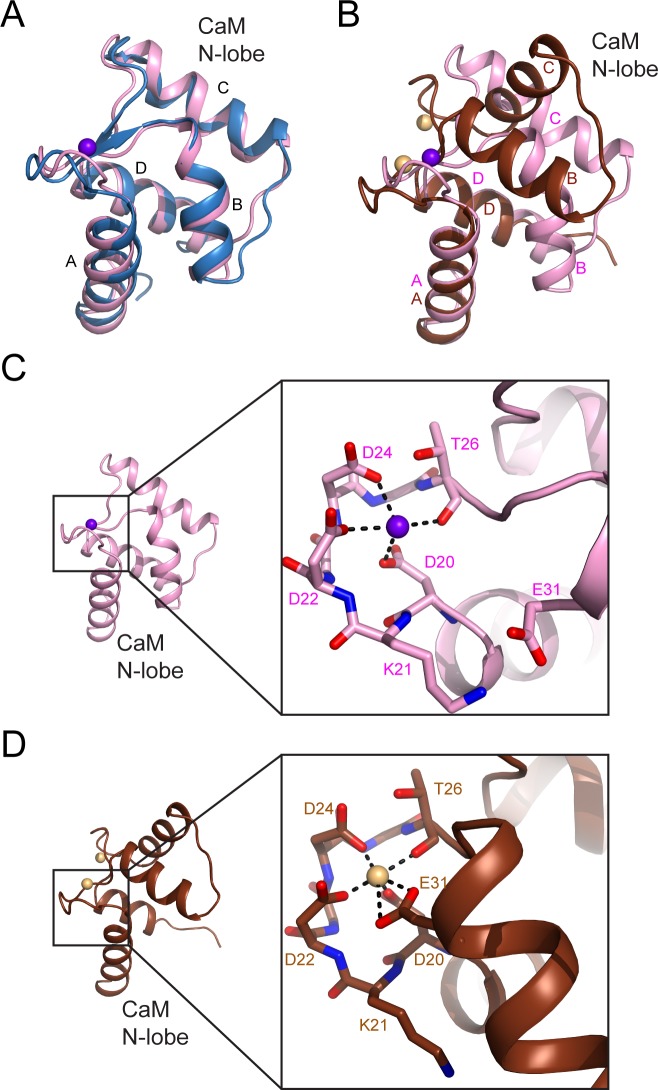 Figure 7—figure supplement 3.