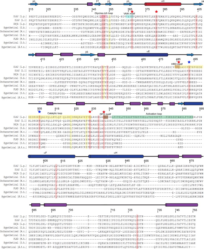 Figure 3—figure supplement 1.