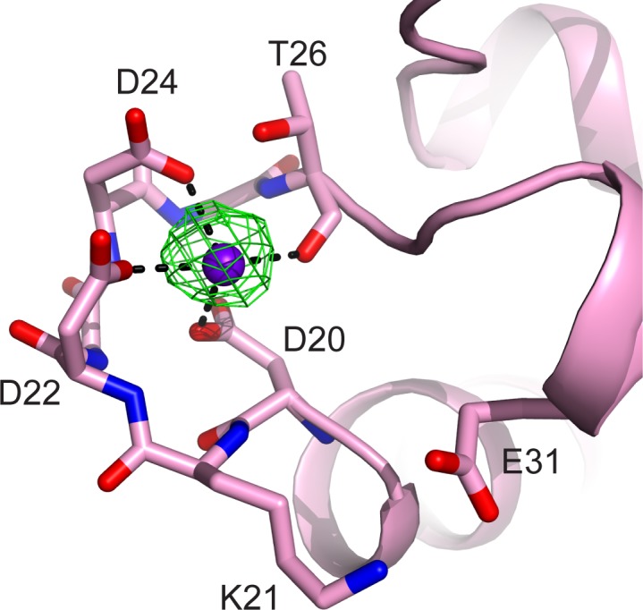 Figure 2—figure supplement 1.