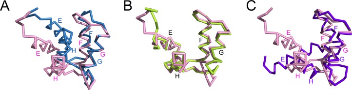 Figure 7—figure supplement 2.