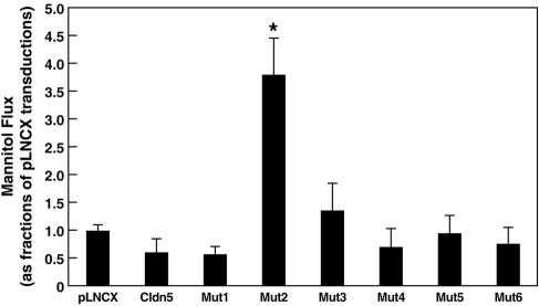 FIG. 7.