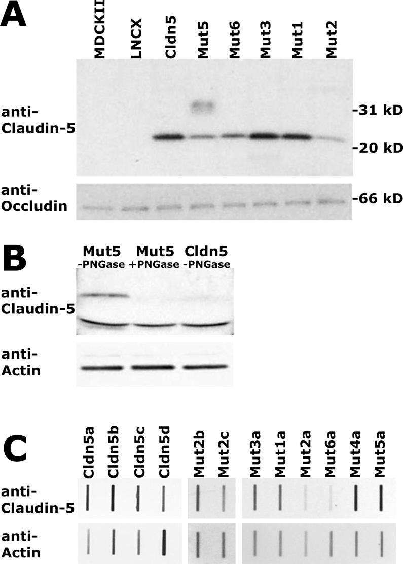 FIG. 5.