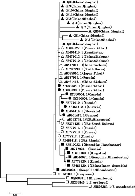 Fig. 8