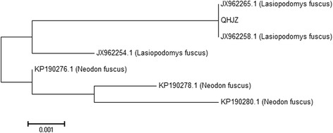 Fig. 12