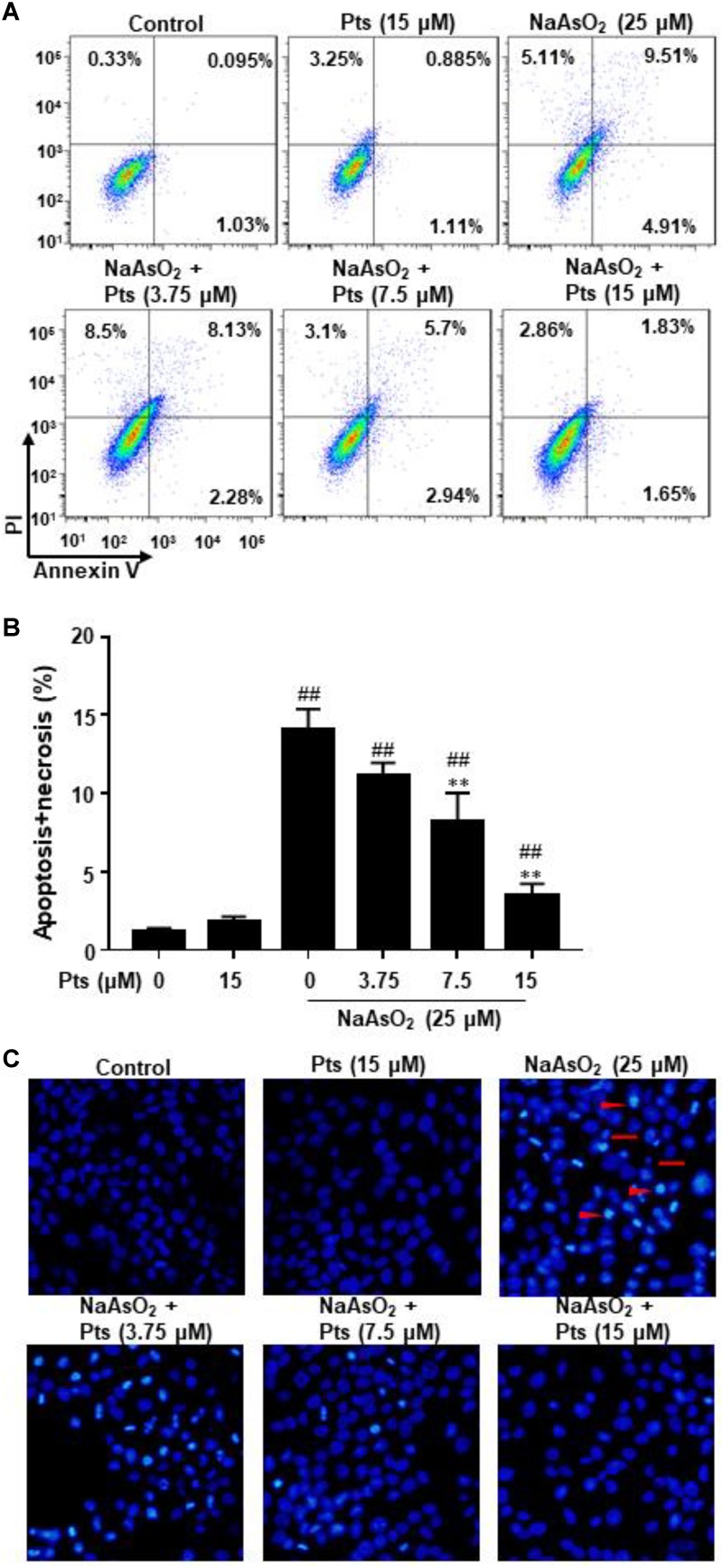 FIGURE 4