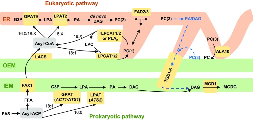 Figure 12.