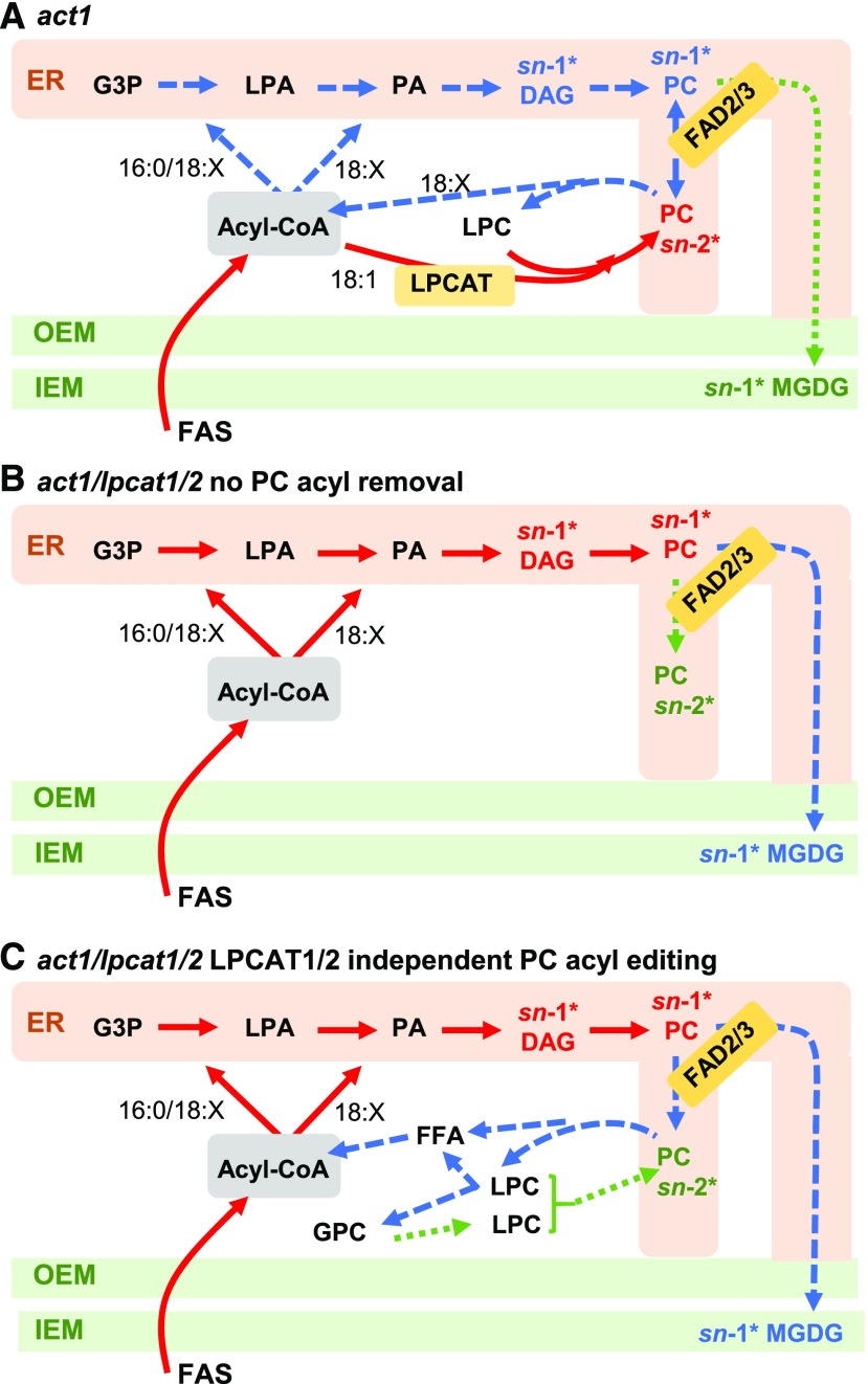 Figure 11.