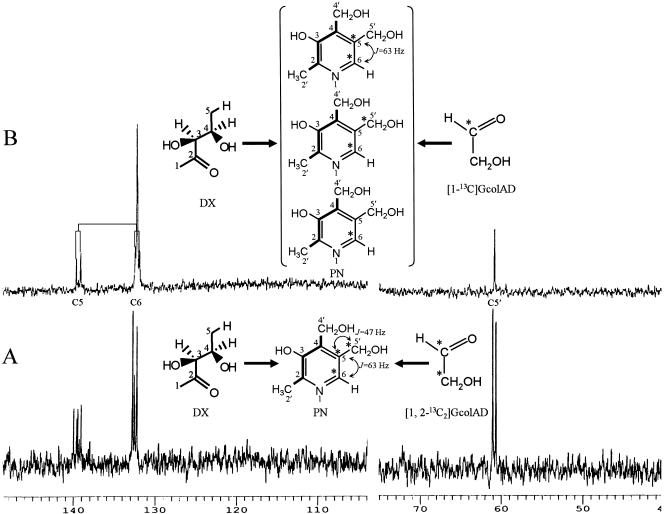 FIG. 7.