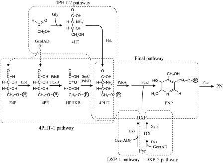 FIG. 1.