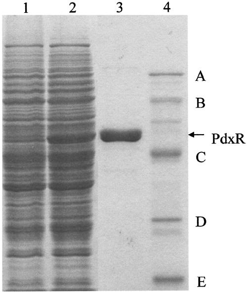 FIG. 5.