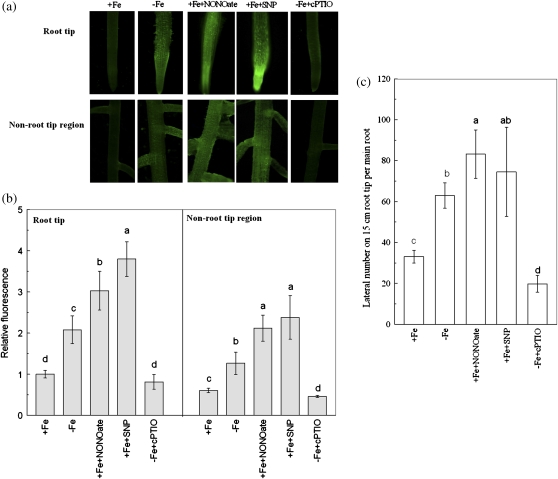 Fig. 4.