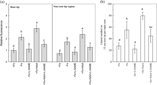 Fig. 7.