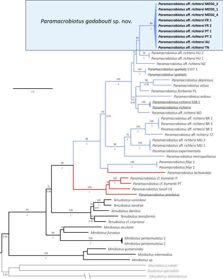 Figure 1