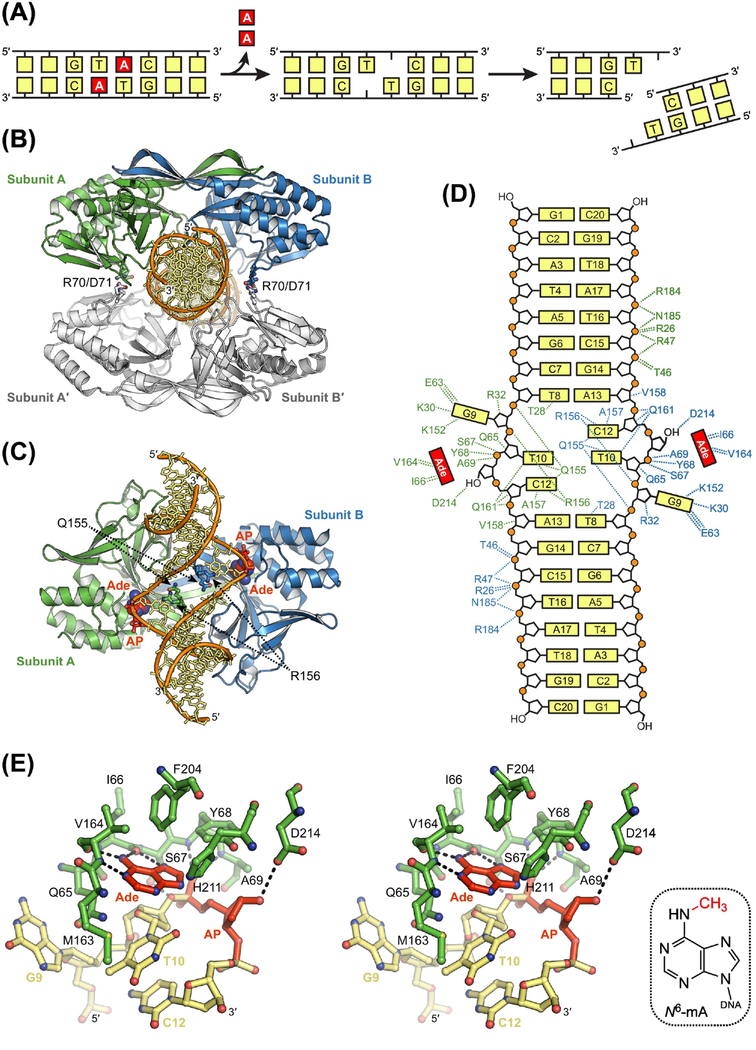 Figure 6.