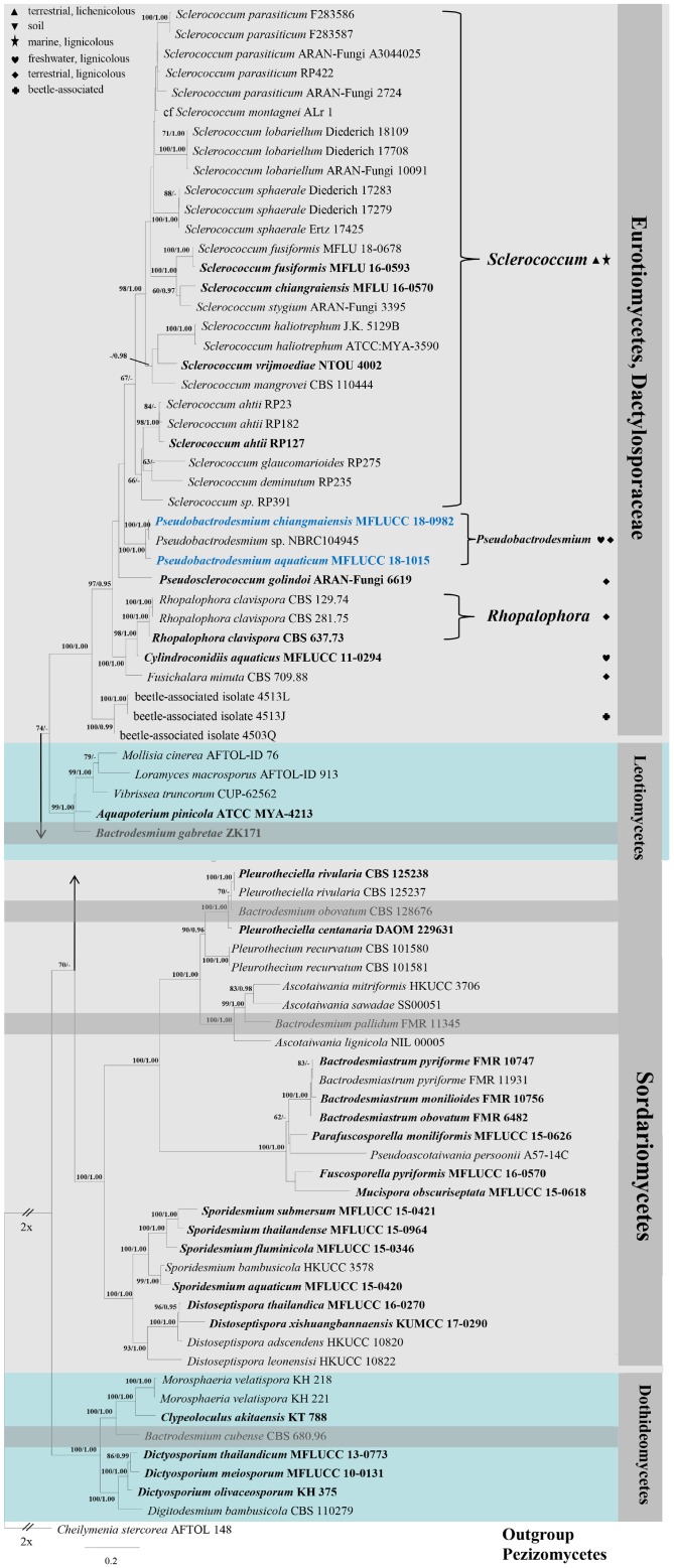 FIGURE 1
