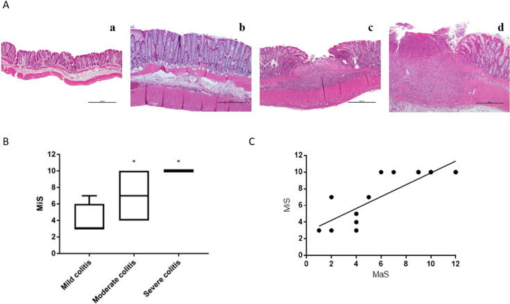 Fig. 4.